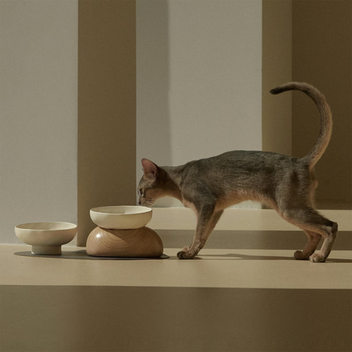 Juego de Recipientes Elevados para Alimentación de Felinos con Base Ergonómica Decorativa para Interiores Alimentador
