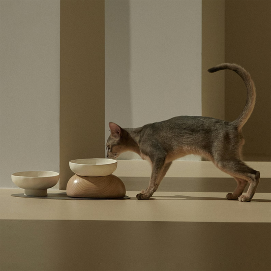 Juego de Recipientes Elevados para Alimentación de Felinos con Base Ergonómica Decorativa para Interiores Alimentador