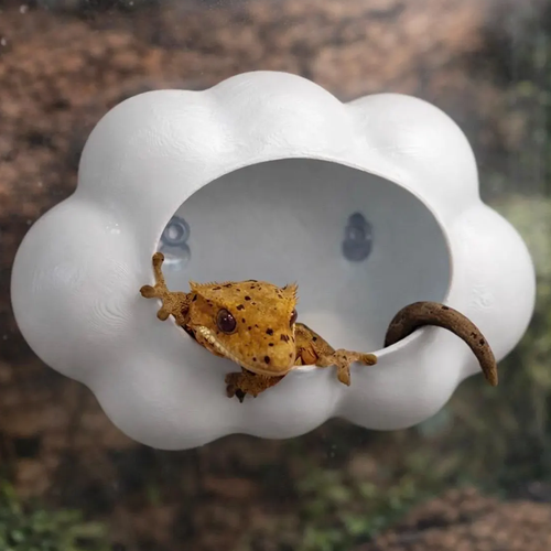 Refugio Decorativo en Forma de Nube Montable en Pared para Lagartijas y Pequeños Reptiles de Terrario